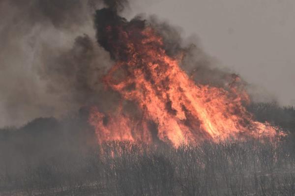 Wildfire rages in Alexandroupoli, northern Greece, on August 22, 2023. 