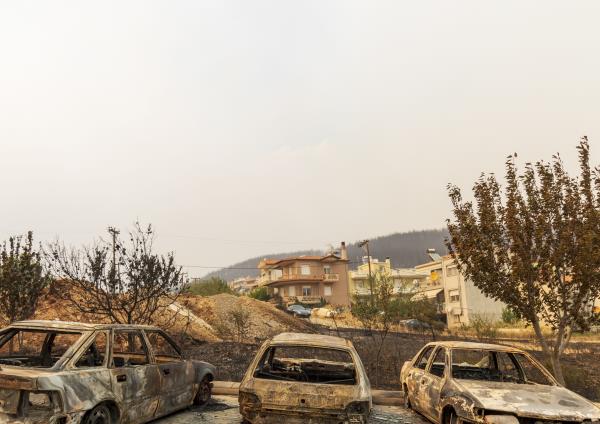 Burnt cars in the village of Palagia on August 22, 2023 in Alexandroupoli, Greece.