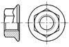 JG /T 5057.29-1995 建筑机械与设备 高强度六角法兰面螺母